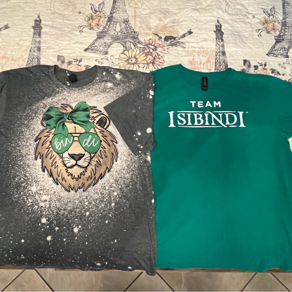 Adult Teal and Gray Lion Graphic T-Shirts Isibindi